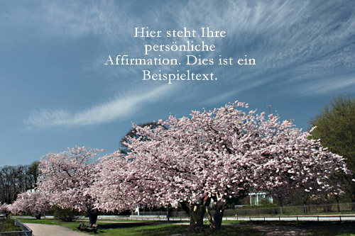 Affirmationen Kirsche Kirschblueten