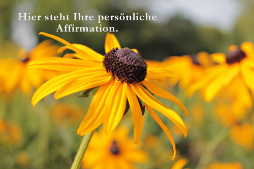 Affirmationen Blume