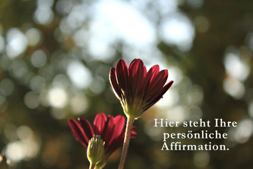 Affirmationen Blume rot