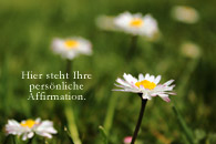 Affirmationen Gnseblmchen Blumen