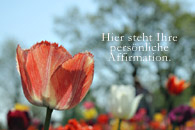 Affirmationen Tulpe