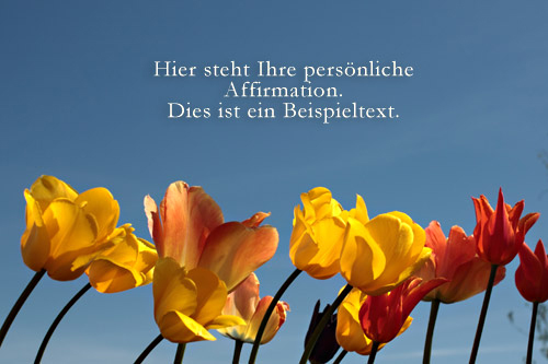 Affirmationen Tulpen Blumen