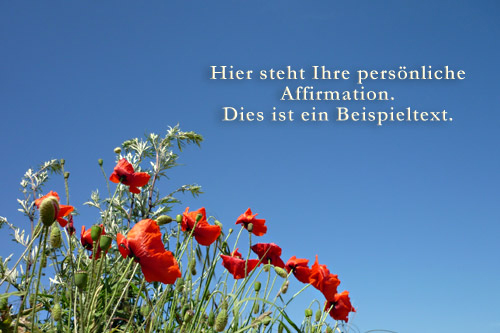 Affirmationen Mohn Blumen